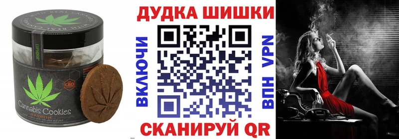 гидра ONION  купить наркоту  Гаджиево  даркнет состав  Печенье с ТГК конопля 