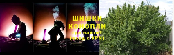 индика Россошь