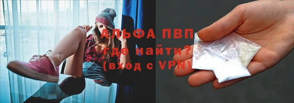 ПСИЛОЦИБИНОВЫЕ ГРИБЫ Горняк