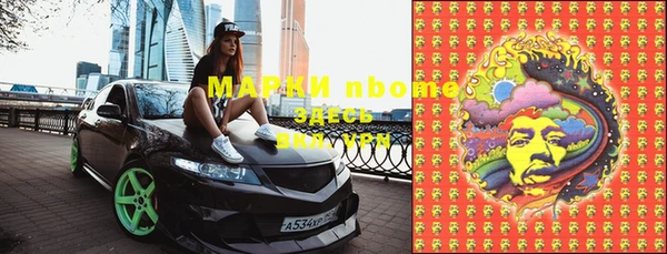 ПСИЛОЦИБИНОВЫЕ ГРИБЫ Горняк