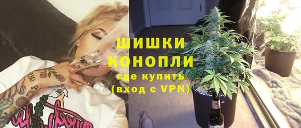 ПСИЛОЦИБИНОВЫЕ ГРИБЫ Горняк