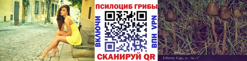 Галлюциногенные грибы Magic Shrooms  закладки  Гаджиево 